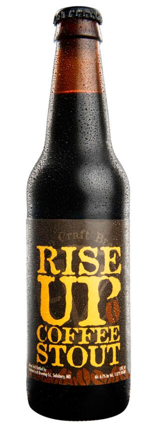 EVOLUTION RISE UP COFFEE STOUT 12OZ 4PK