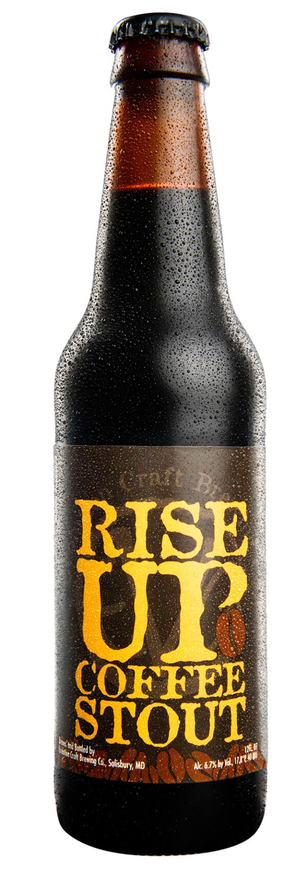 EVOLUTION RISE UP COFFEE STOUT 12OZ 4PK